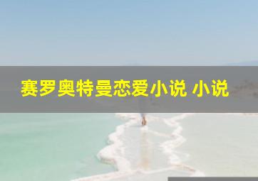 赛罗奥特曼恋爱小说 小说